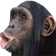 monke emote