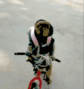 SamyBike animated emote