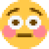 pixel_flushed emote