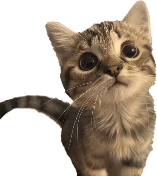 Cutey emote