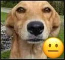 laugh emote