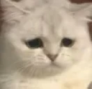 sad emote