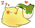 birbbitingbirb emote