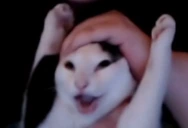 YIPPEE emote