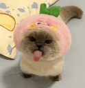 cutiepatootie emote
