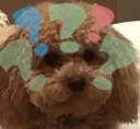 Puppy_Questionmark emote