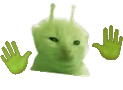 lorplorp emote
