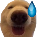 dawg_eh static emote