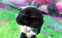 PWEASE emoji