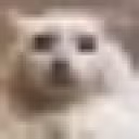 stare emote
