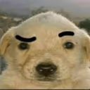 KPASA emote