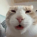 xuh emote