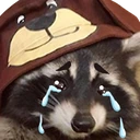 raccoon_cry emote