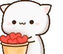 catLove emote