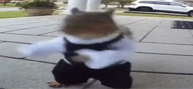belka emote
