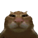 buub emote