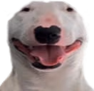 walterSmile emote