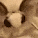 MothJam emote