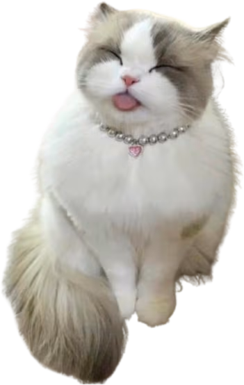 cutecattongue emote