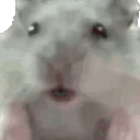 WutHamster emote
