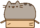 PusheenBox emoji