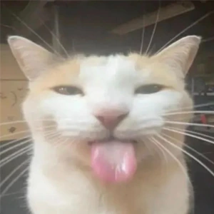 EHEH emote