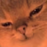 cathehe emote