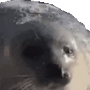sealLeave emoji