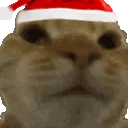 NoNo emote