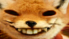 foxdd emote