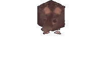 RatSpin emote