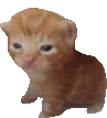 RobertJam emote