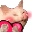 cat_heart emote