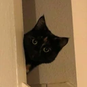 CE_Peek emote