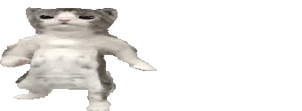 catGrooveWide emoji