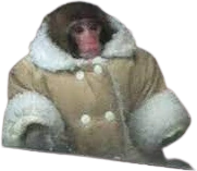 IKEA_Monkey emote