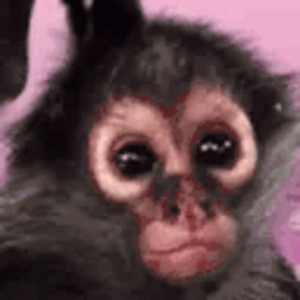 a_t_m_0_s avatar