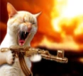 Cat_with_gun emote