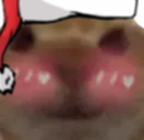 FlushedCat static emote