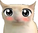 WeebCat emoji