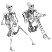 boney_pals emote
