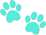 cyan_paw_prints emote