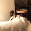 nom animated emote