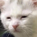 awakebutatwhatcost emote