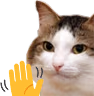 kiisu_wave emote
