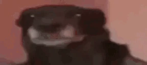 Hilarious emote