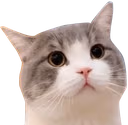 boppus emote