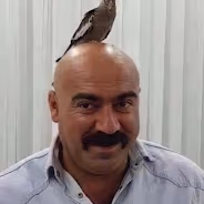 vandam emote