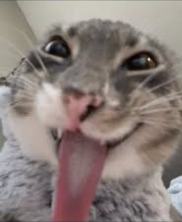 anotherfreaky_cat emote