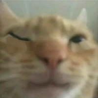 gusicwink emote